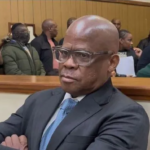 Sibanyoni granted bail as NPA revives extortion case  – The Mail & Guardian