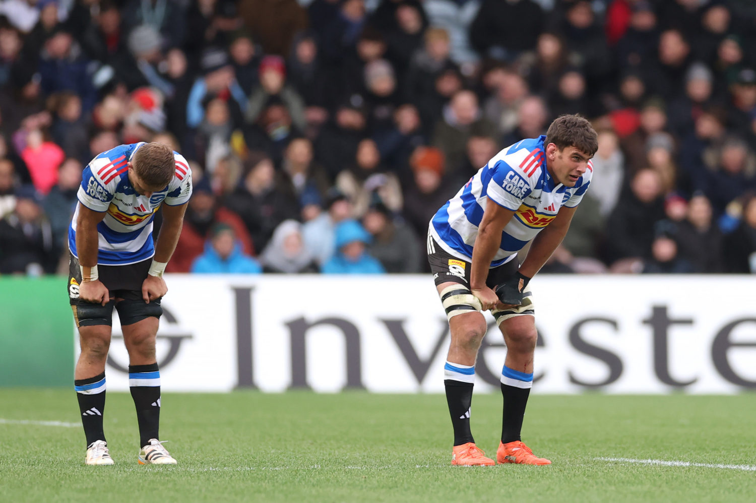 SA to exit Champions Cup?