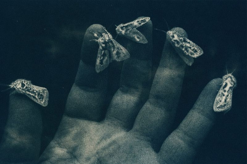 Sony World Competition: The year’s most creative photography exploring culture and history