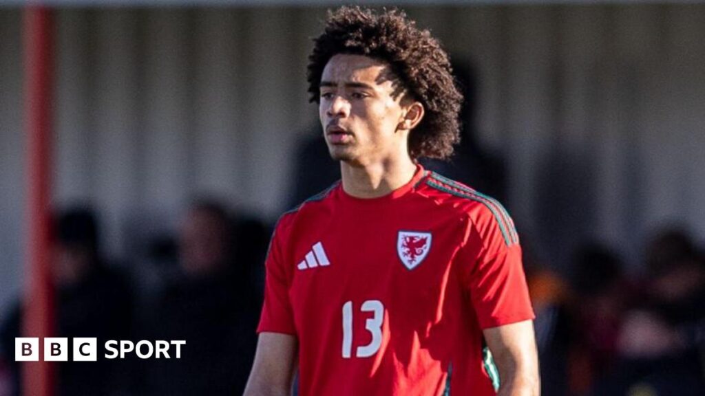 Jayden Lienou: Wales call up teenage Leeds United left-back