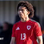Jayden Lienou: Wales call up teenage Leeds United left-back