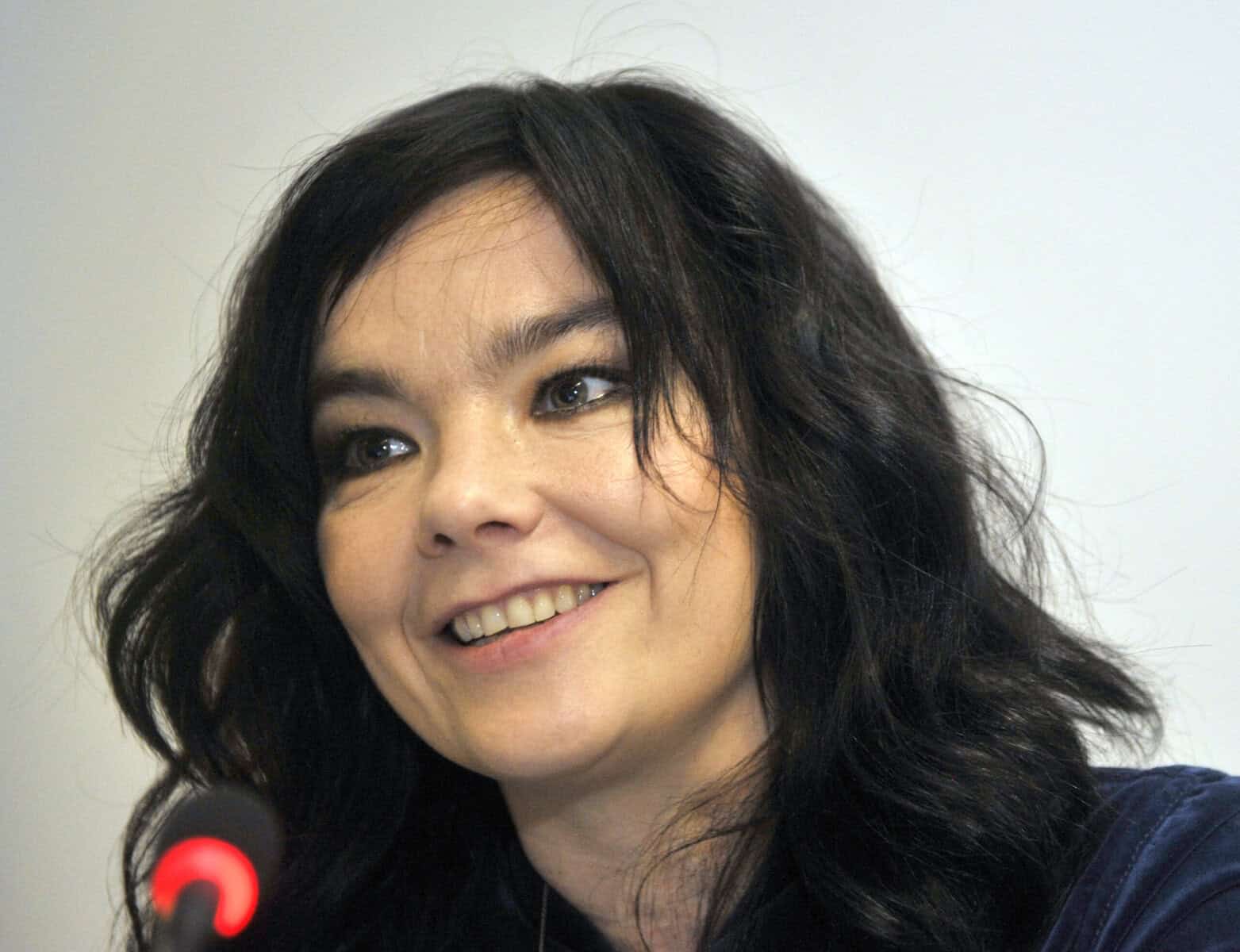 Björk’s viral DJ set shines a light on South African music