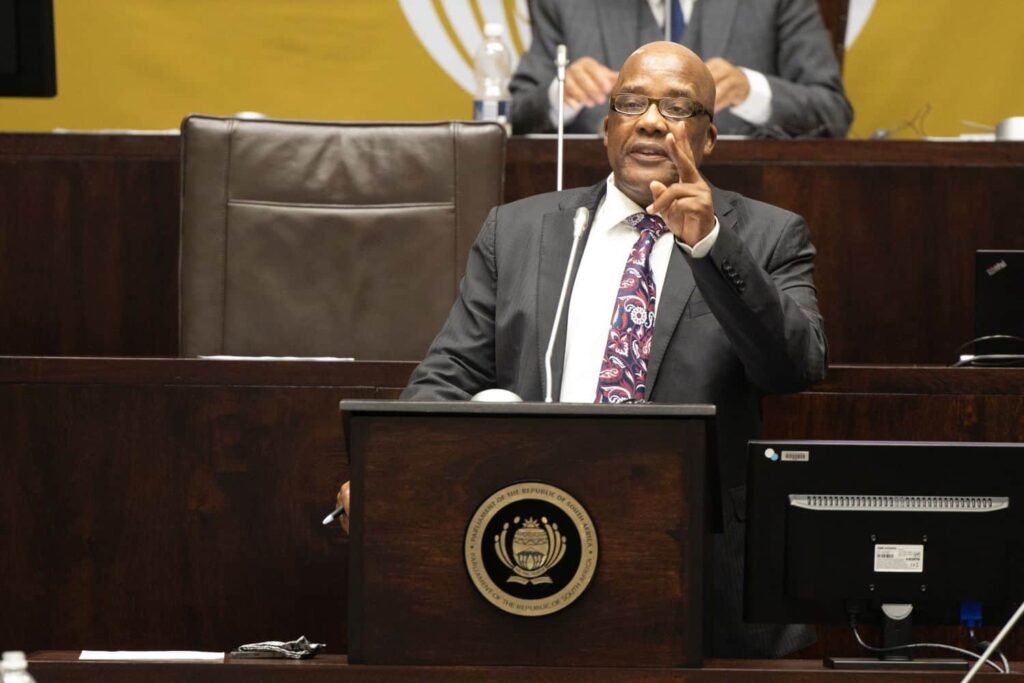 In case you missed it: Brown Mogotsi fights back | Motsoaledi on NHI | Police make arrests in viral gun video