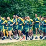 Kaizer Chiefs to return to Europe for pre-season under new coach
