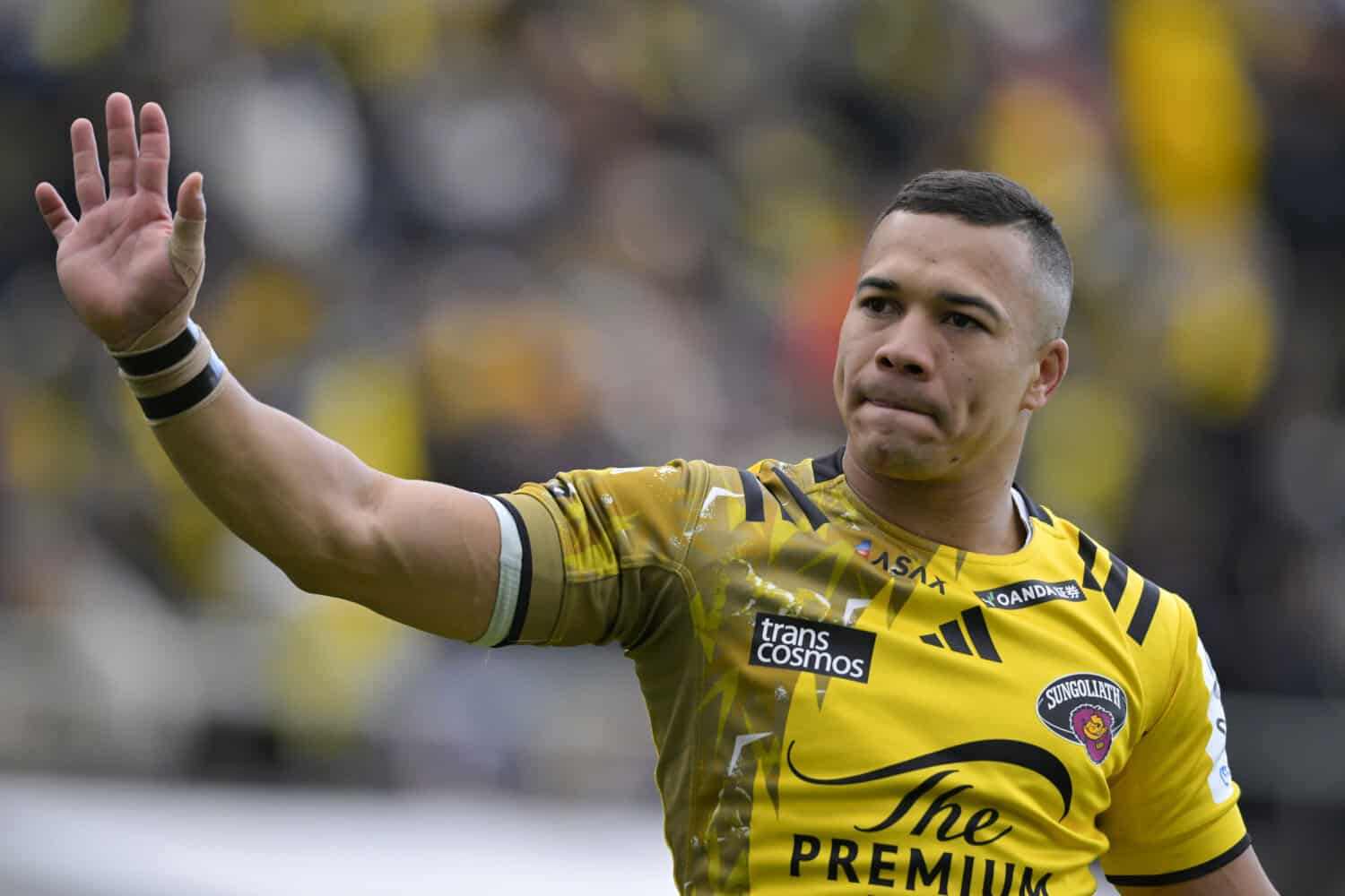 Stormers announce Springbok superstar Cheslin Kolbe’s return
