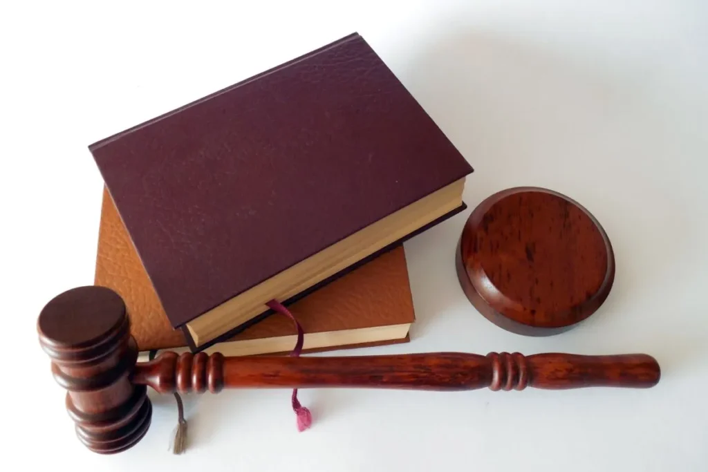 ConCourt backlog: Only 18% of judgments issued within target timeframe
