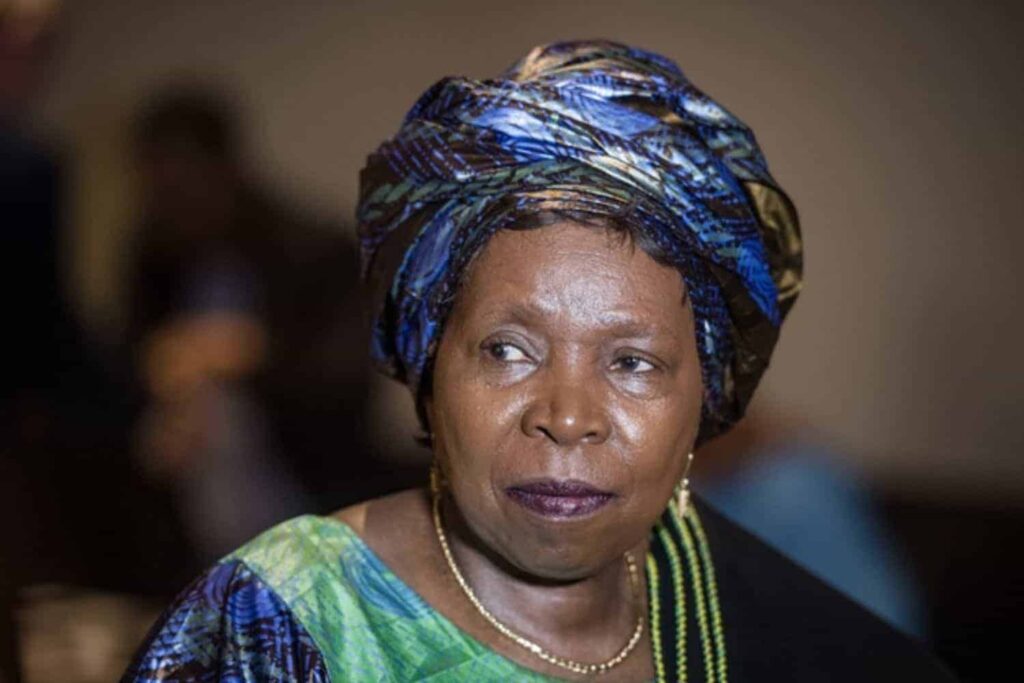 ‘People in this country think they are not in Africa’: Dlamini-Zuma calls for unity amid ‘xenophobic’ tensions