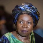 ‘People in this country think they are not in Africa’: Dlamini-Zuma calls for unity amid ‘xenophobic’ tensions