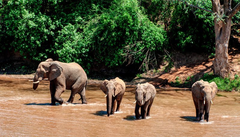 Why ‘wellbeing’ matters in South African conservation law