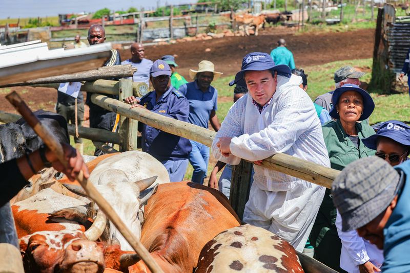 SA farmers can vaccinate livestock against FMD, court rules