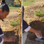 Gabrielle Union buries dad’s ashes in Cape Town