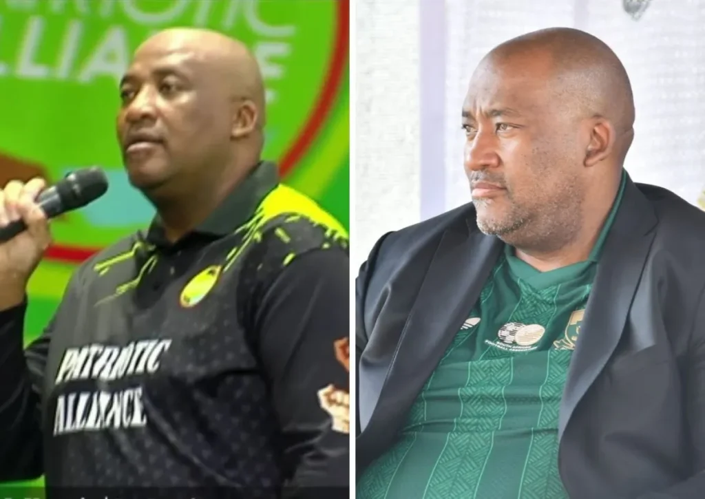 Gayton tells South Africans NOT to attack illegal foreigners [video]