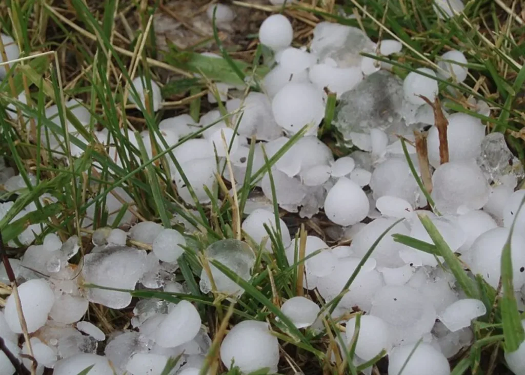 WEATHER: Severe storms accompanied by heavy rain to hit SA
