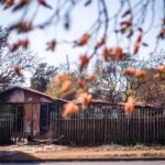 Human rights ‘victory’ stalls Pretoria evictions