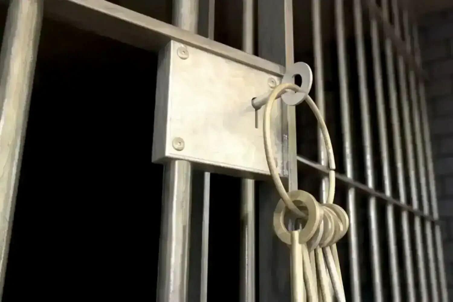 Honeydew police constables jailed for torture and murder in custody