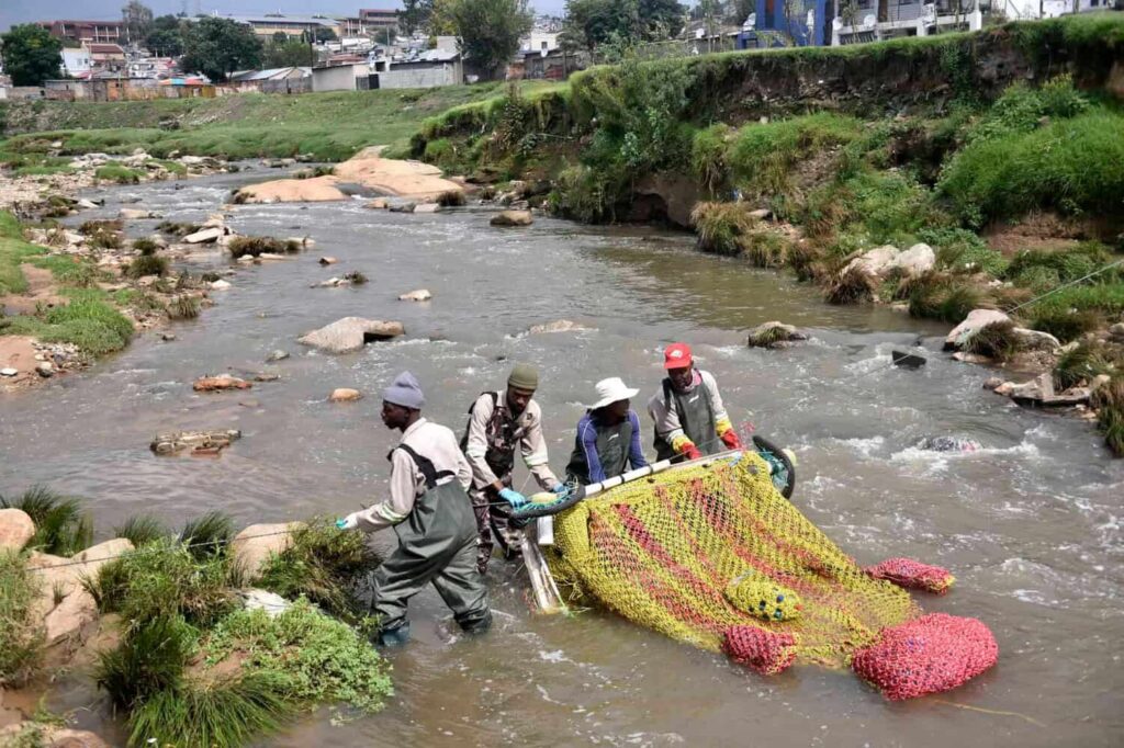 Johannesburg launches water task teams to deal with river pollution