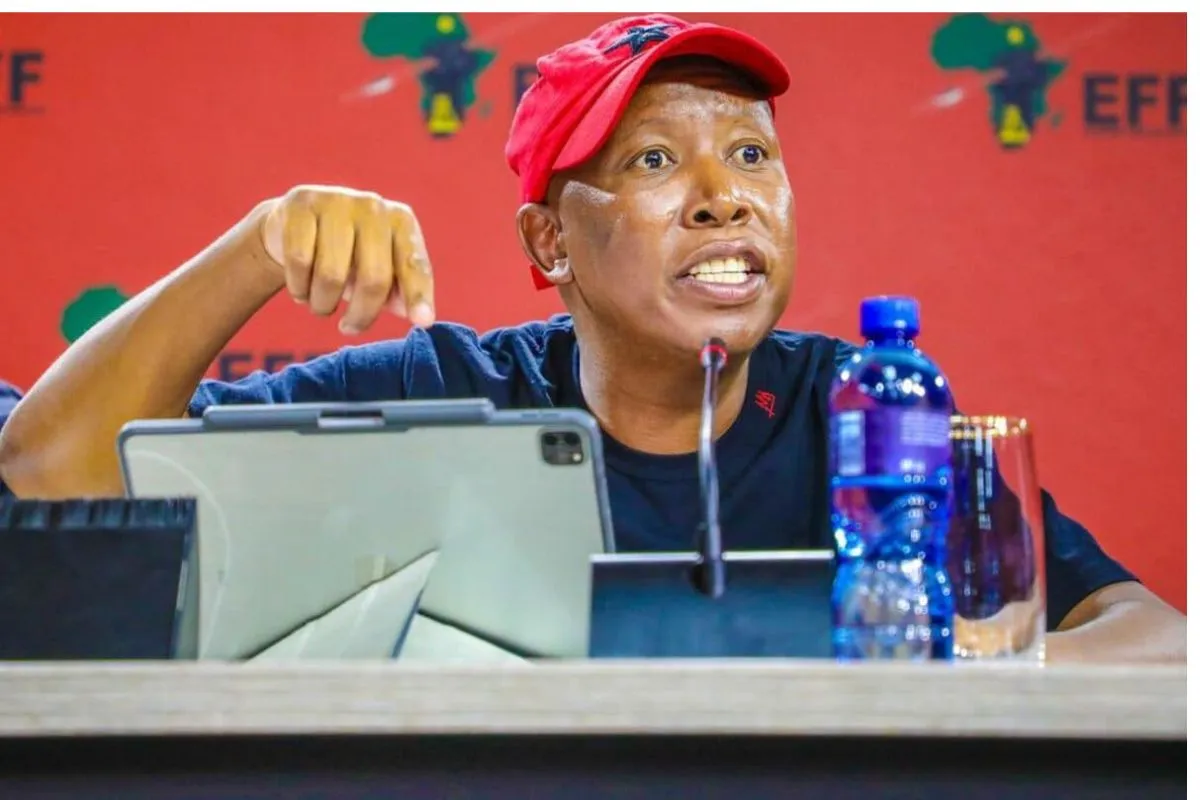 Malema calls anti-immigration protests ‘Afrophobia’