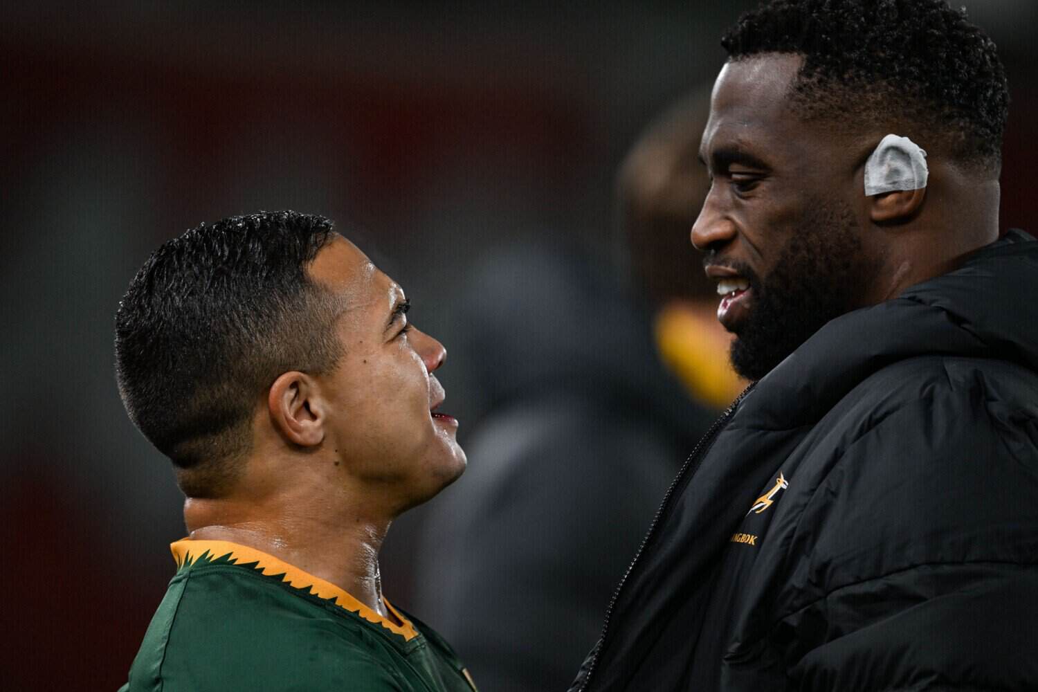 Kolbe’s return exciting, but Stormers mustn’t build a dad’s army