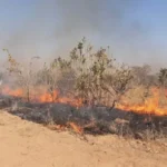 Kruger National Park readies itself for winter fire season