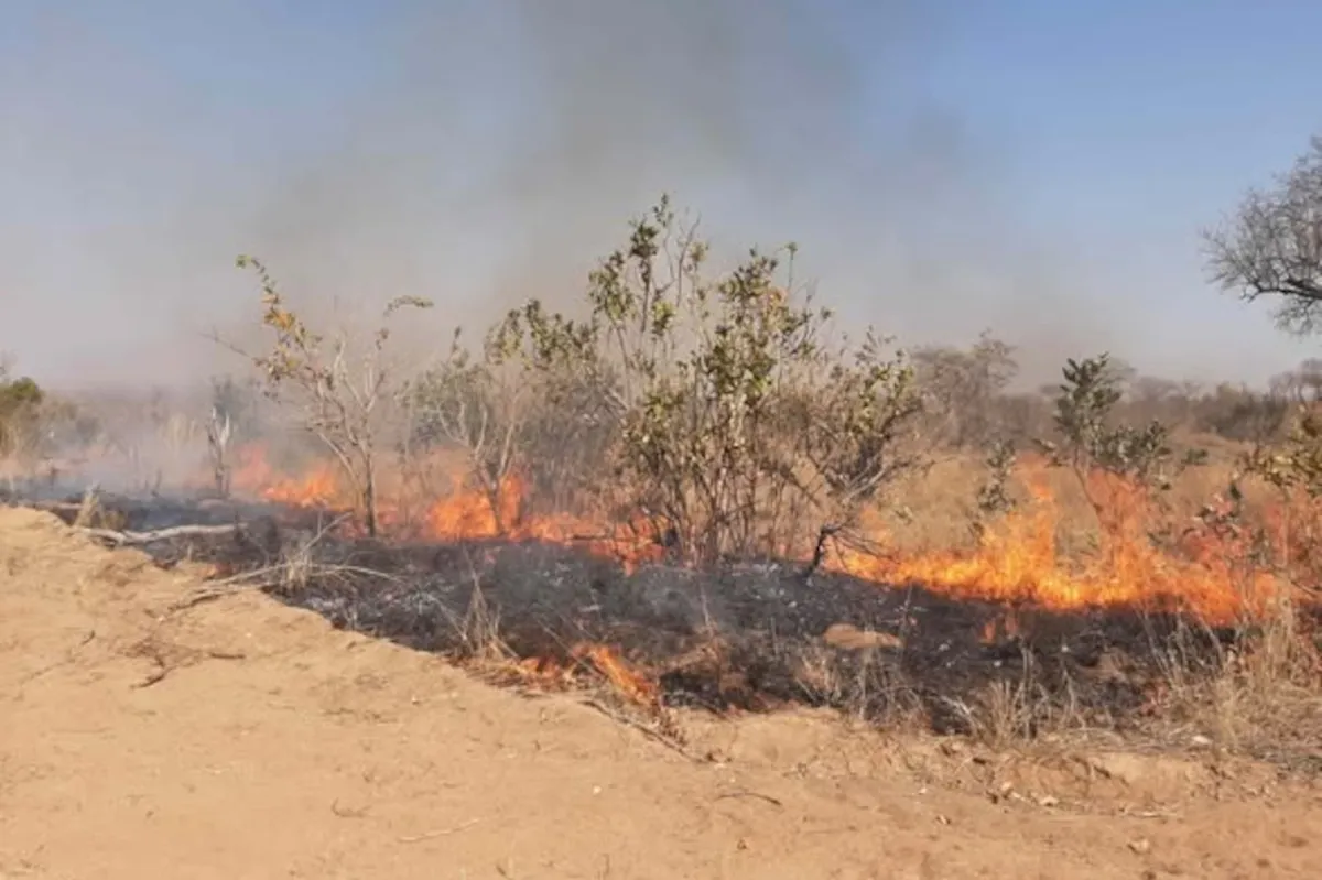Kruger National Park readies itself for winter fire season