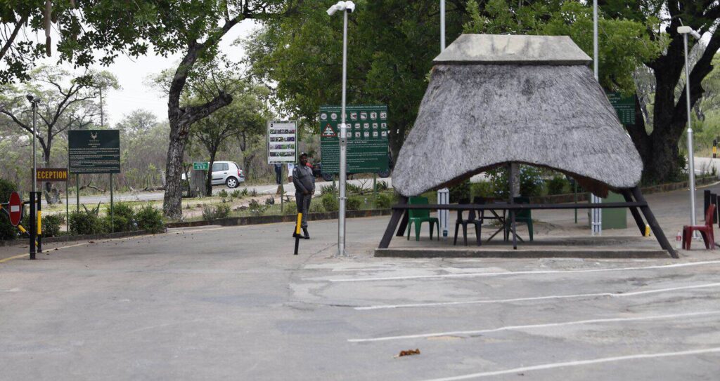 In case you missed it: Bodies of two tourists found in Kruger Park | Politician’s son arrested for speeding | Pirates end wait for league title