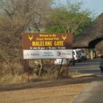 Shock in Kruger National Park after bodies of two tourists discovered in Pafuri