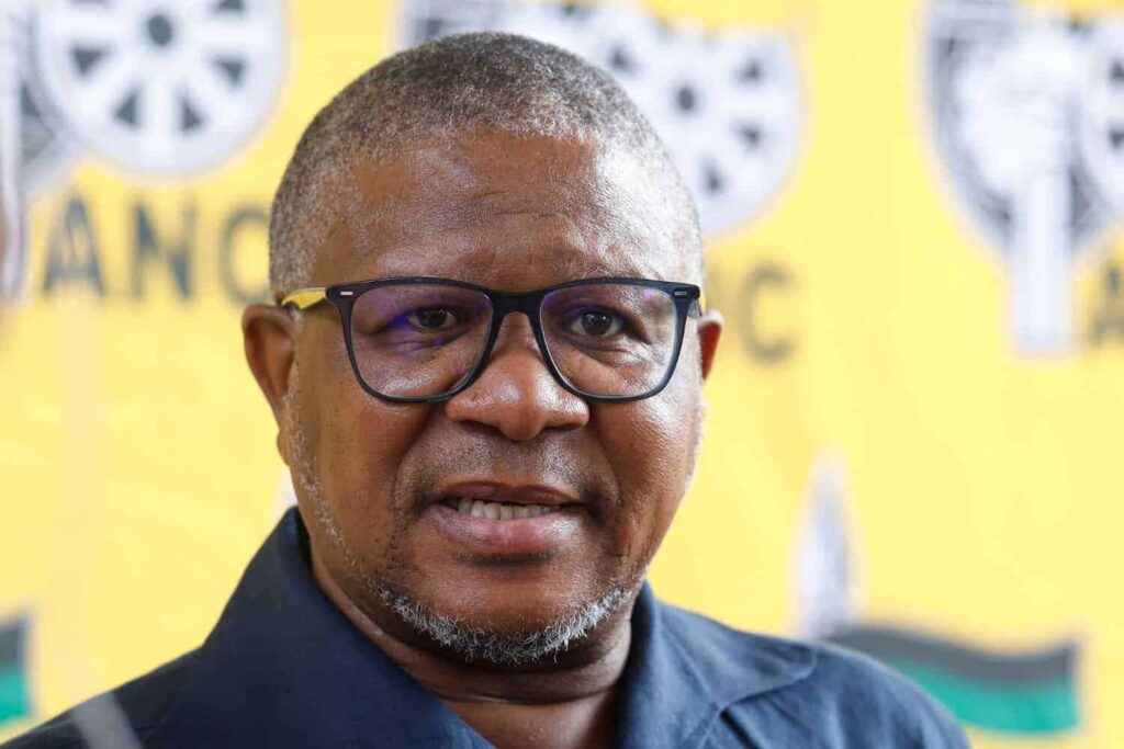 ANC policies blamed for SA’s porous borders, but Mbalula says it’s a work in progress