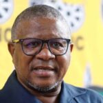 ANC policies blamed for SA’s porous borders, but Mbalula says it’s a work in progress