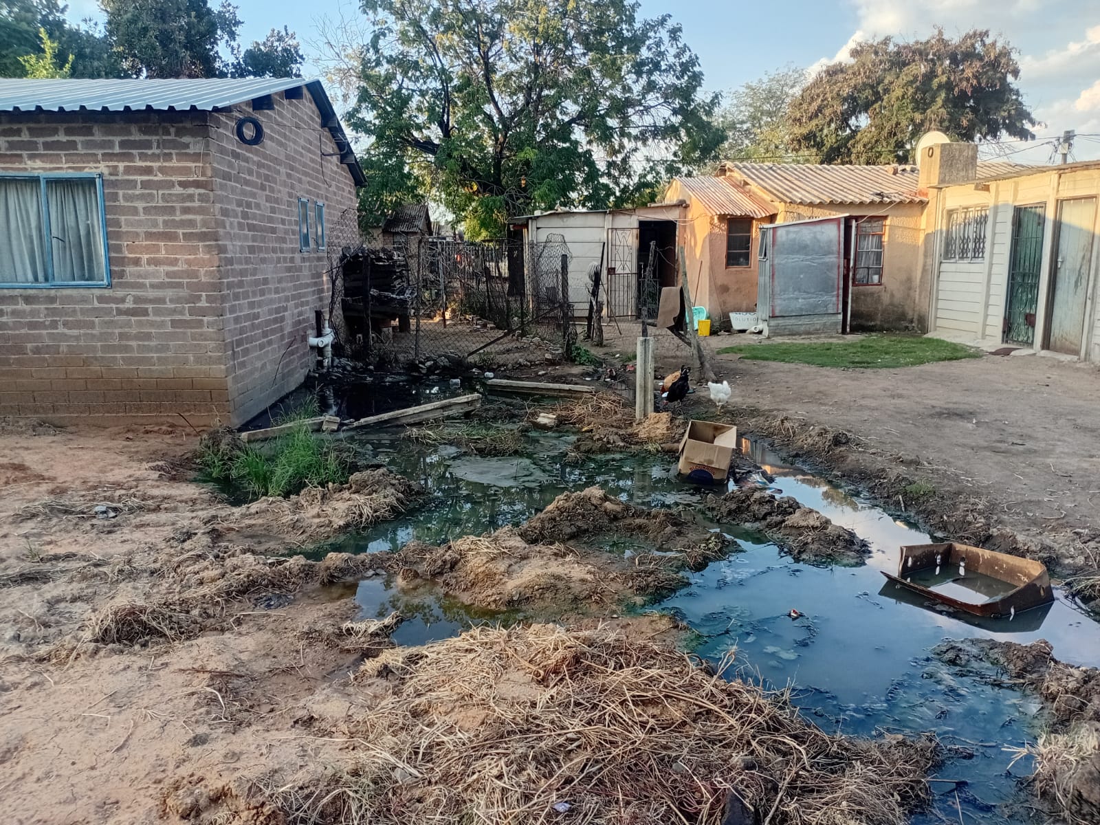 Mathjabeng in financial freefall – The Mail & Guardian