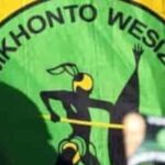 MK party chief whip gets R30 000 bail over extortion and fraud claims