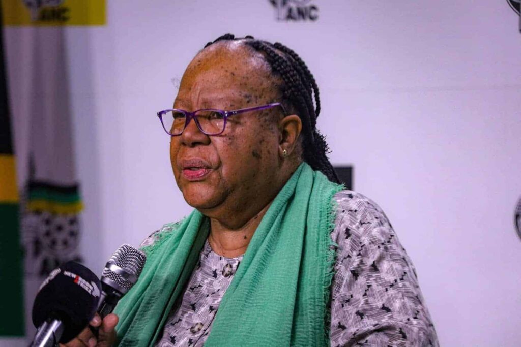 Police probe house robbery at Naledi Pandor’s Valleria home