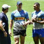 Willemse, Zas fit, while Nel returns to lead Stormers against Cardiff