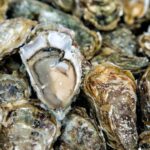 DFFE warns against eating wild shellfish on West Coast