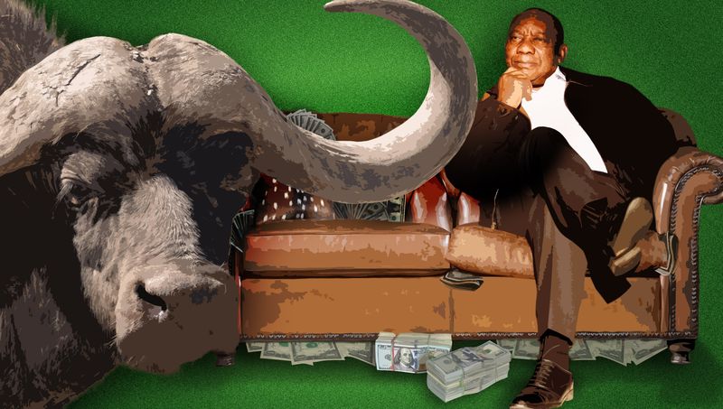 Ramaphosa’s allies close ranks over Phala Phala