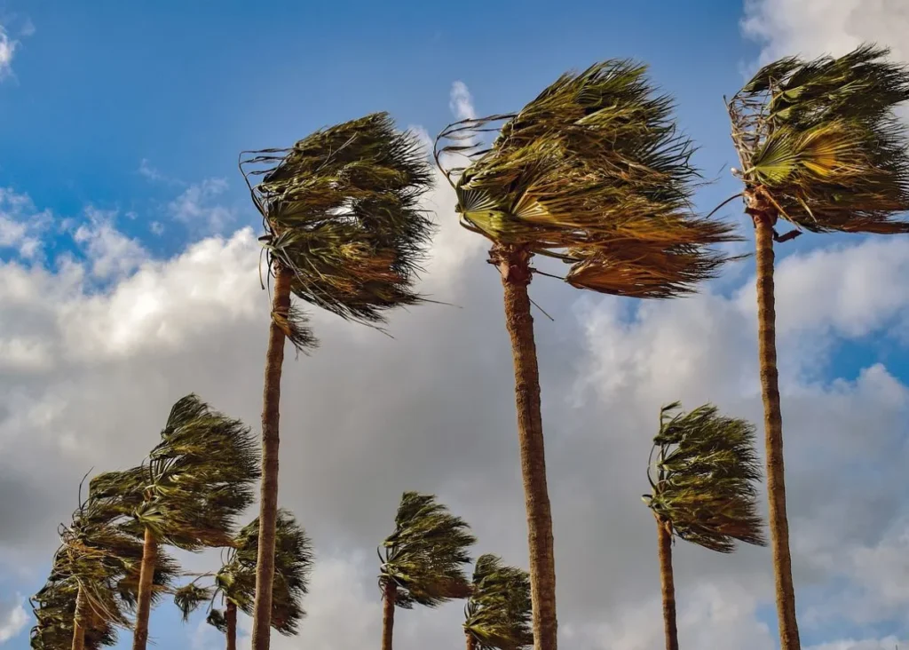 WEATHER: Rain with strong winds to batter SA until TUESDAY
