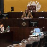 Ad hoc committee worried about leaks as Mkhwanazi probe enters final phase