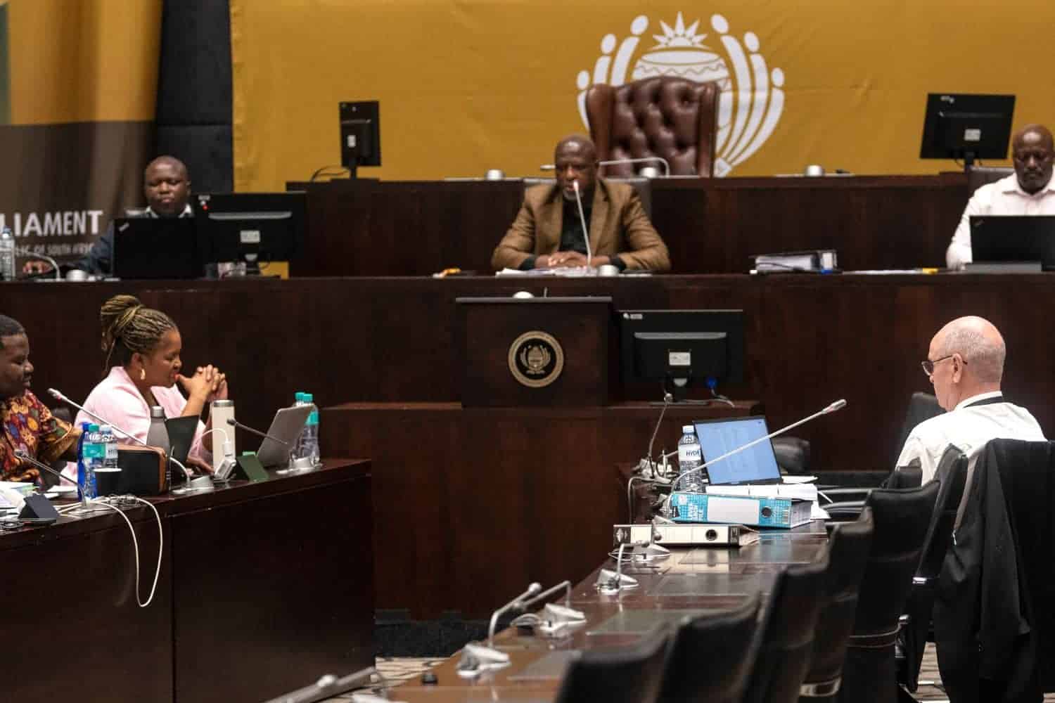 Ad hoc committee worried about leaks as Mkhwanazi probe enters final phase
