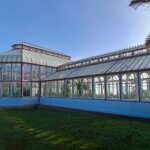 How Gqeberha’s Pearson Conservatory is being kept alive