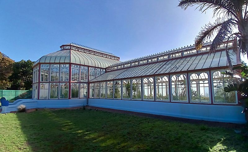How Gqeberha’s Pearson Conservatory is being kept alive