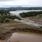 Citrus, fruit industries hit hard after extreme floods