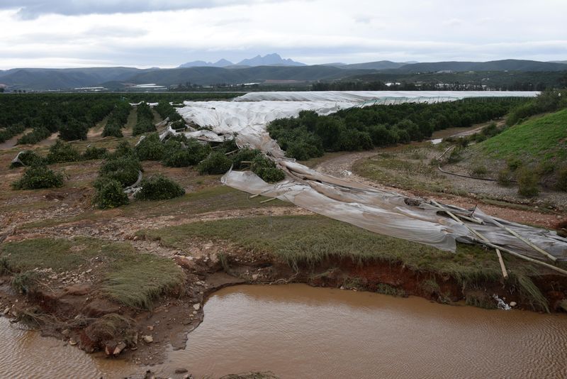 Citrus, fruit industries hit hard after extreme floods