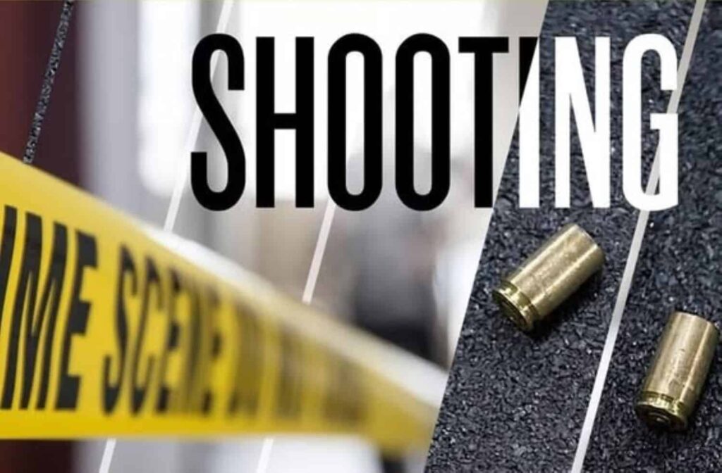 Police investigate four murders after Western Cape mass shooting