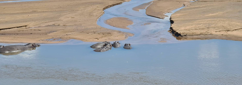 SANParks beefs up security after Mossel Bay couple killed in Kruger Park