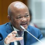 Senzo scolding: What evidence leaders in parliament’s ad hoc committee on police corruption found