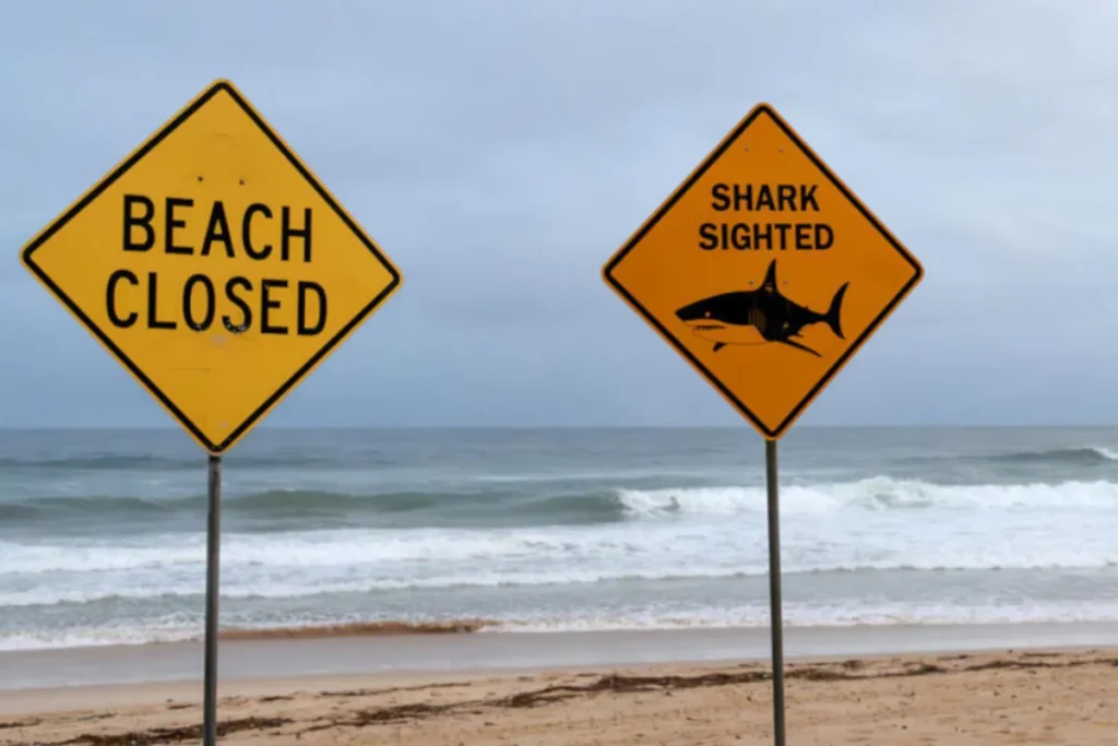 Shark kills man on Australia’s Great Barrier Reef