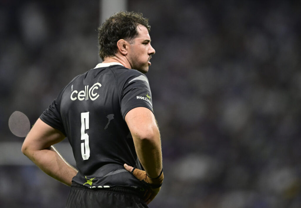 Whiteley: Emile’s a future Bok