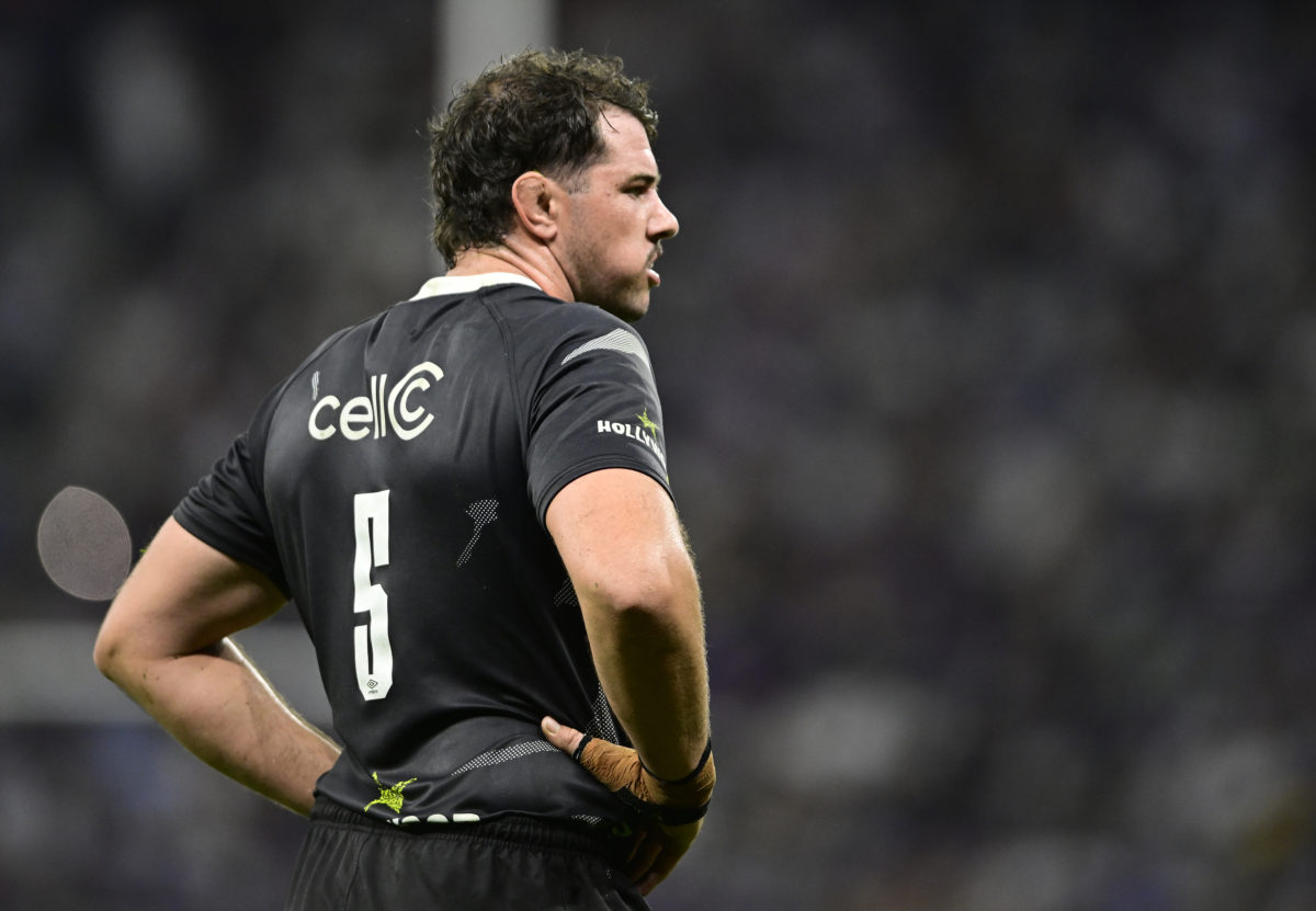 Whiteley: Emile’s a future Bok