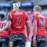 Bok loosie goes under the knife
