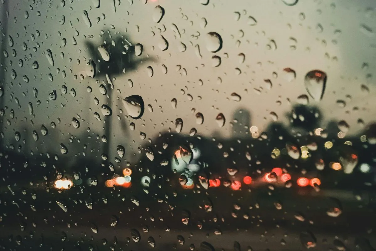 WEATHER: Rain expected in FOUR provinces this weekend