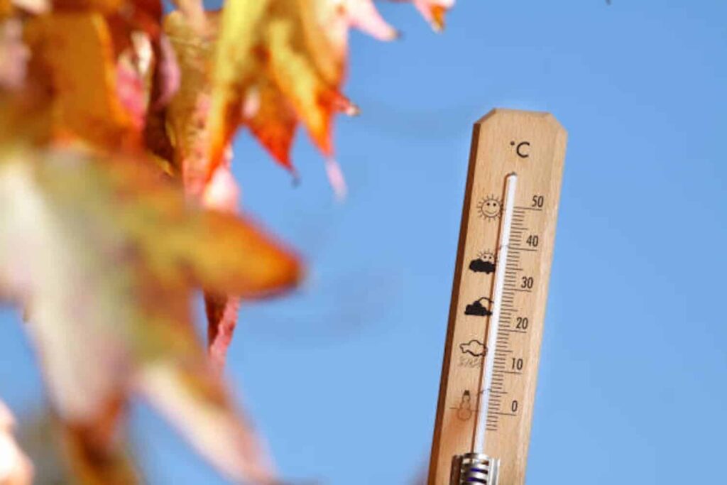 Last weekend of autumn to bring chilly weather to Gauteng
